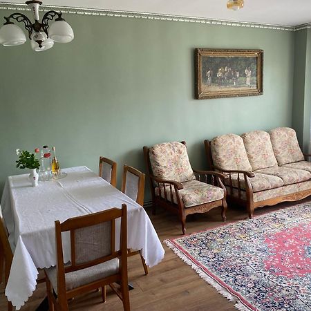 Apartament Ultracentral Botis シゲトゥ・マルマツィエイ エクステリア 写真