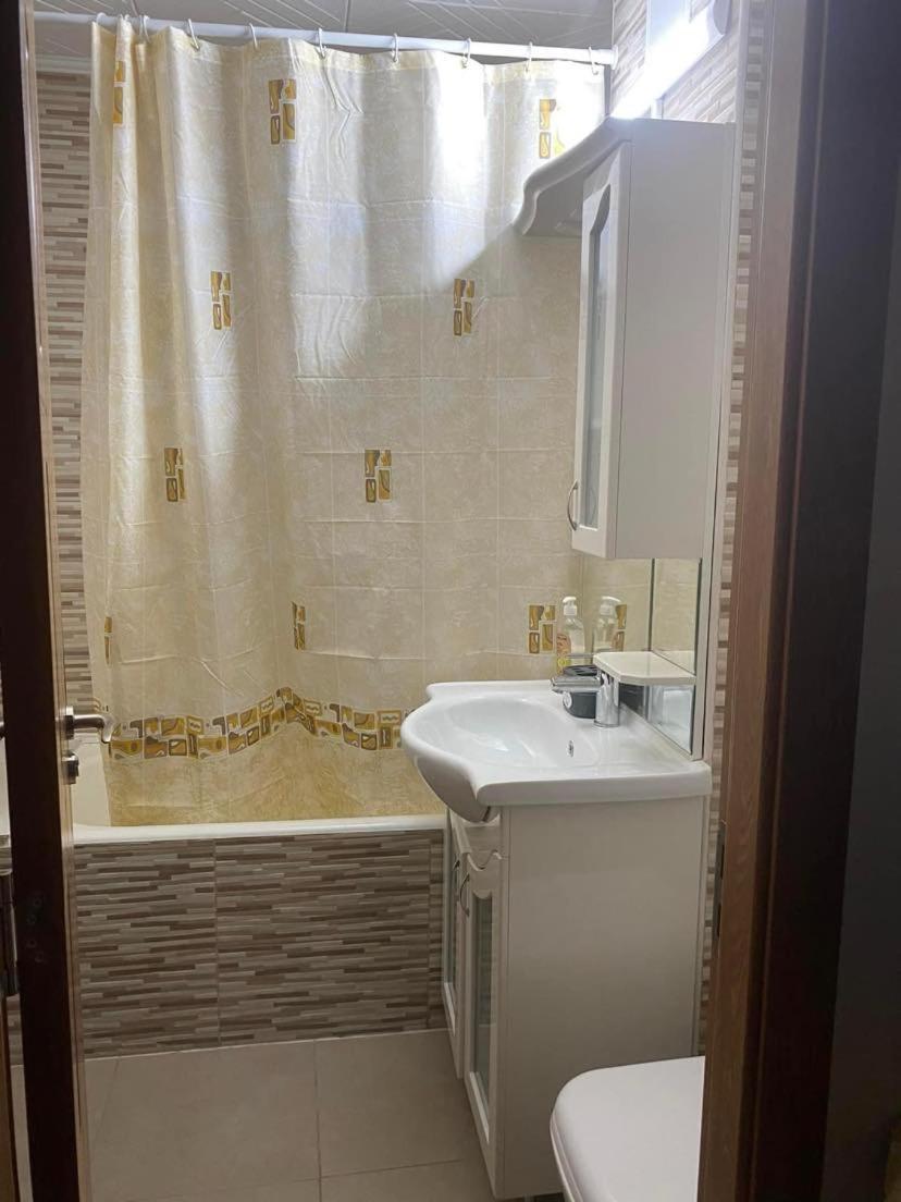 Apartament Ultracentral Botis シゲトゥ・マルマツィエイ エクステリア 写真