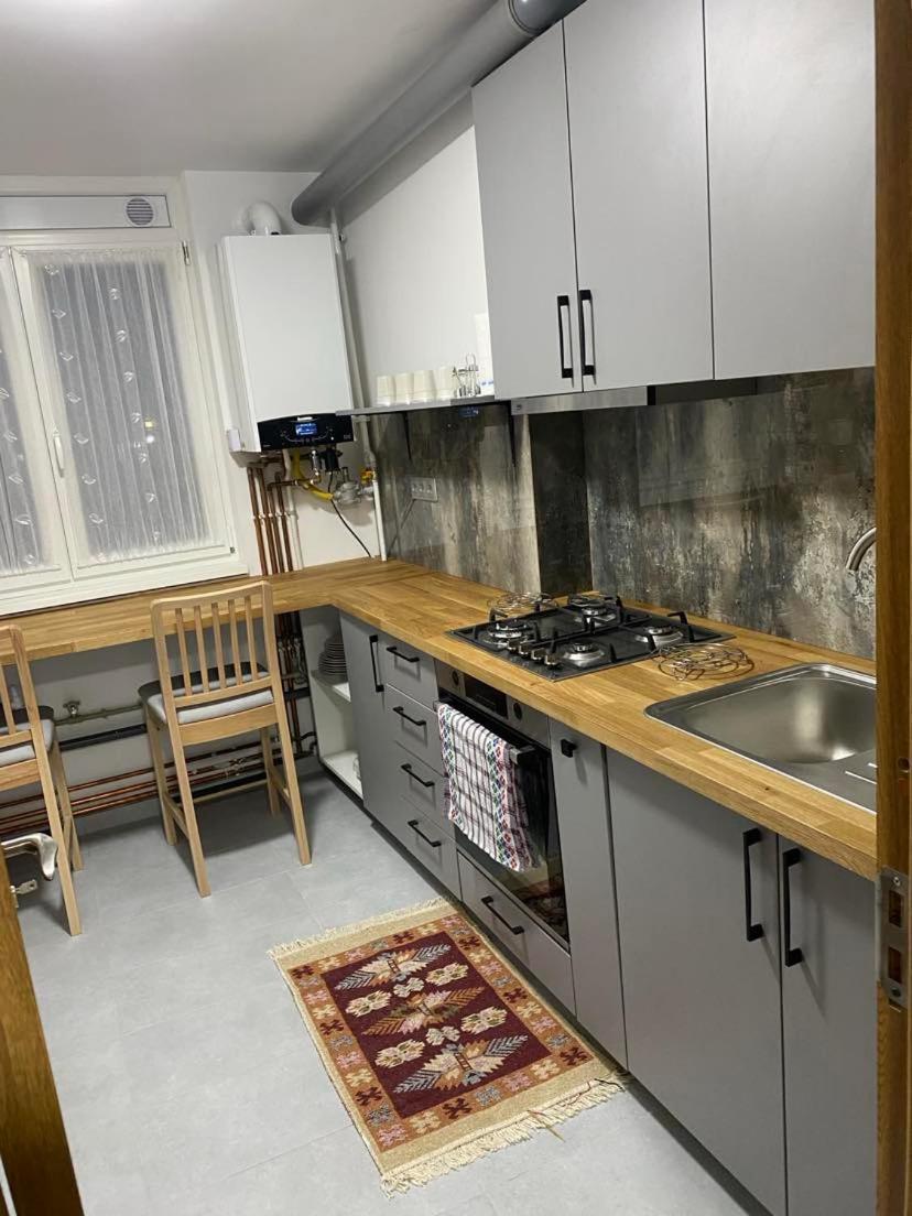 Apartament Ultracentral Botis シゲトゥ・マルマツィエイ エクステリア 写真