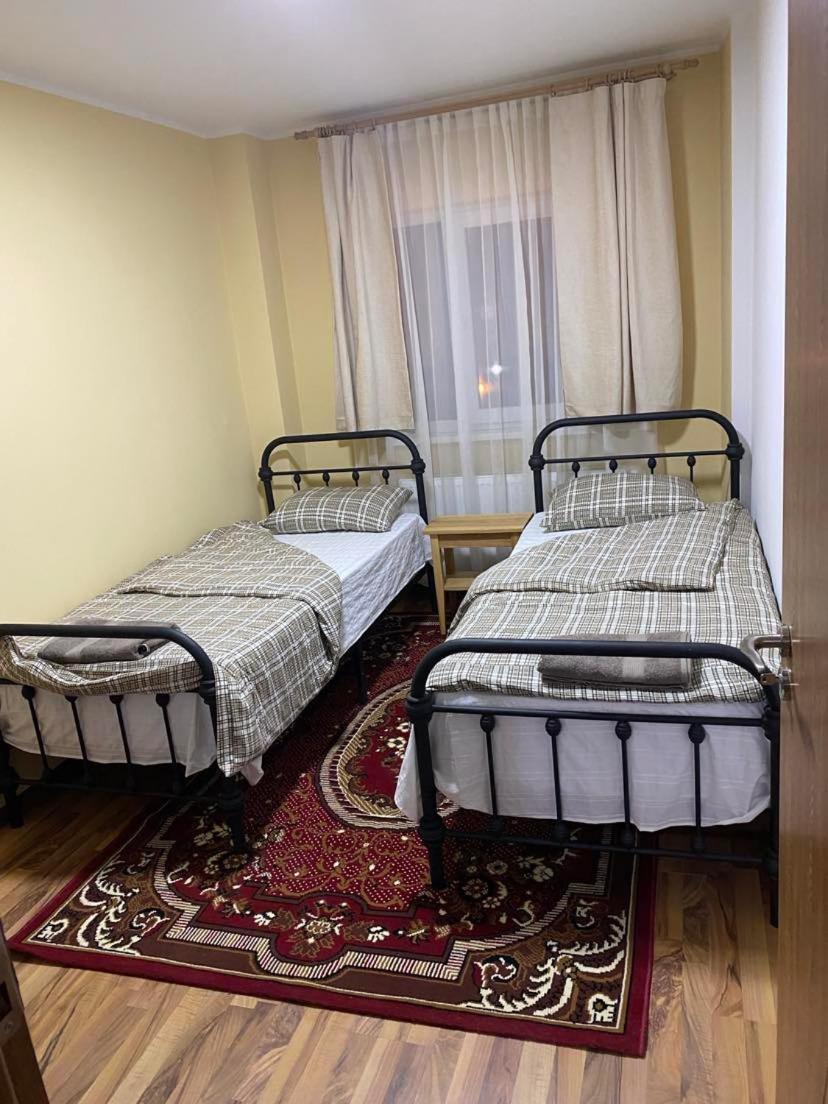 Apartament Ultracentral Botis シゲトゥ・マルマツィエイ エクステリア 写真