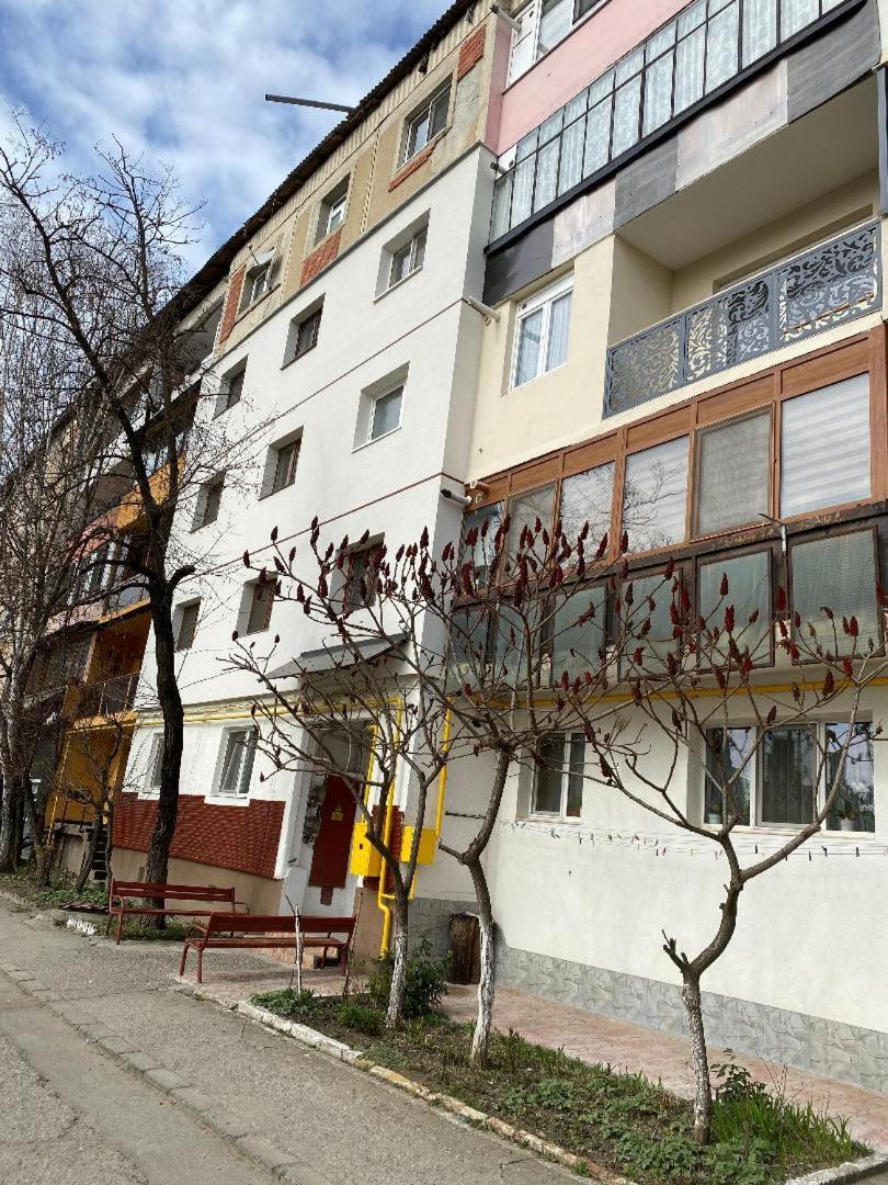 Apartament Ultracentral Botis シゲトゥ・マルマツィエイ エクステリア 写真